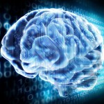 brain_data