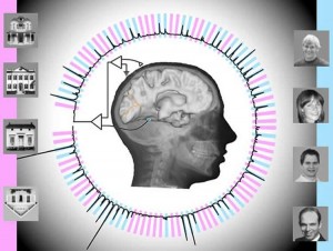 response-to-visual-stimuli-perception