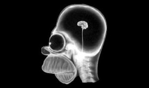 Brain-Simpsons