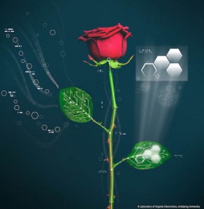 electronicplants1