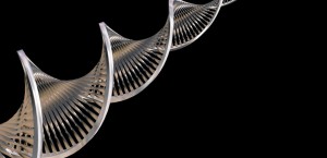 Metallic DNA strands