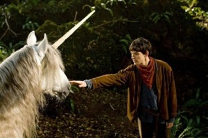 licorne2