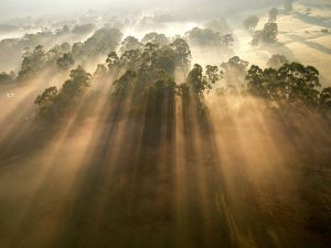 Sun-ray-2