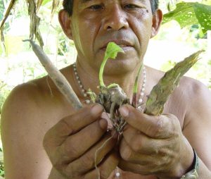 ayahuasca_shaman